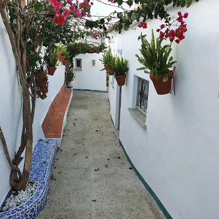 La Chanca Ξενοδοχείο Conil De La Frontera Εξωτερικό φωτογραφία